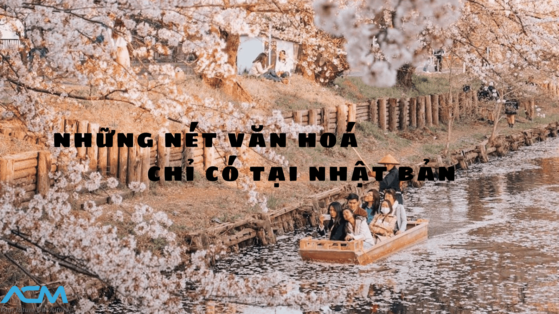 acmjinzai